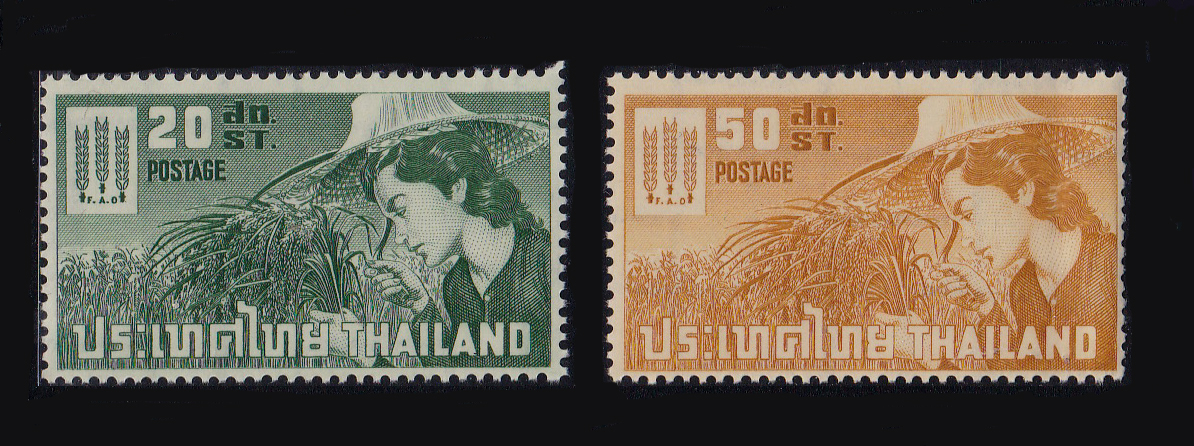 แสตมป์โครงการรณรงค์เพื่อต่อต้านให้ประชากรพ้นจากความอดอยาก (สภาพดี)