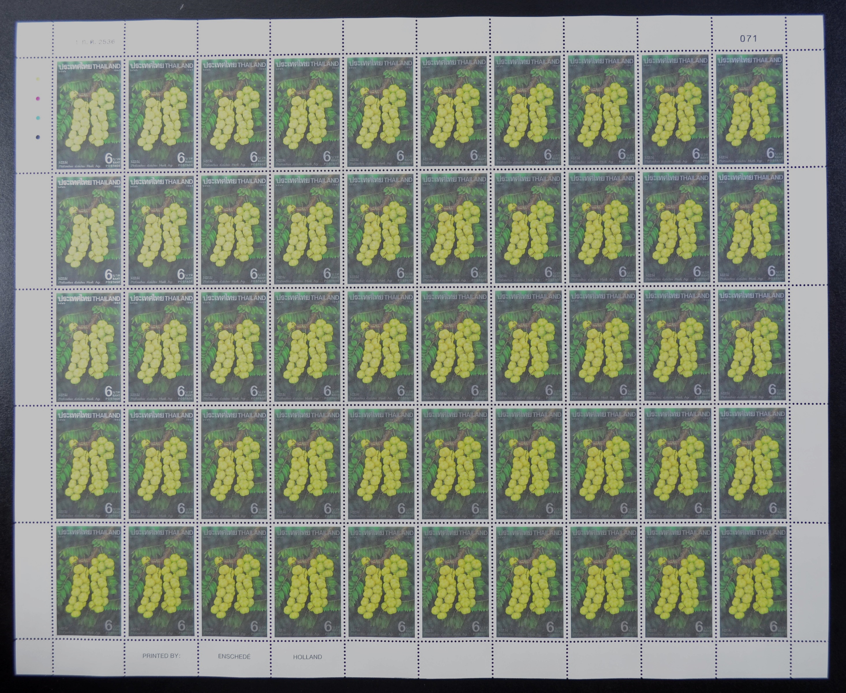 แสตมป์ผลไม้ไทย ชุด4 (เต็มแผ่น50ดวง)