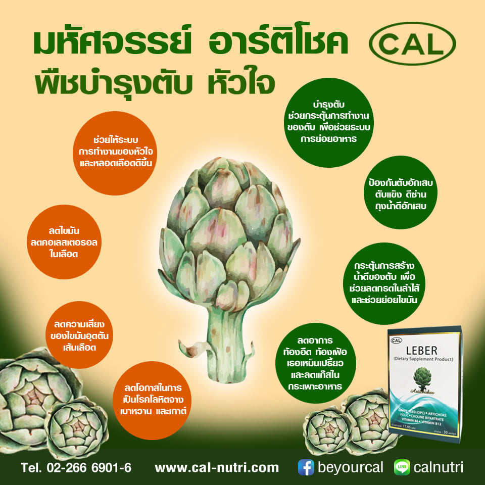 ลีเบอร์ (บำรุงตับ) แถมแผงลีเบอร์