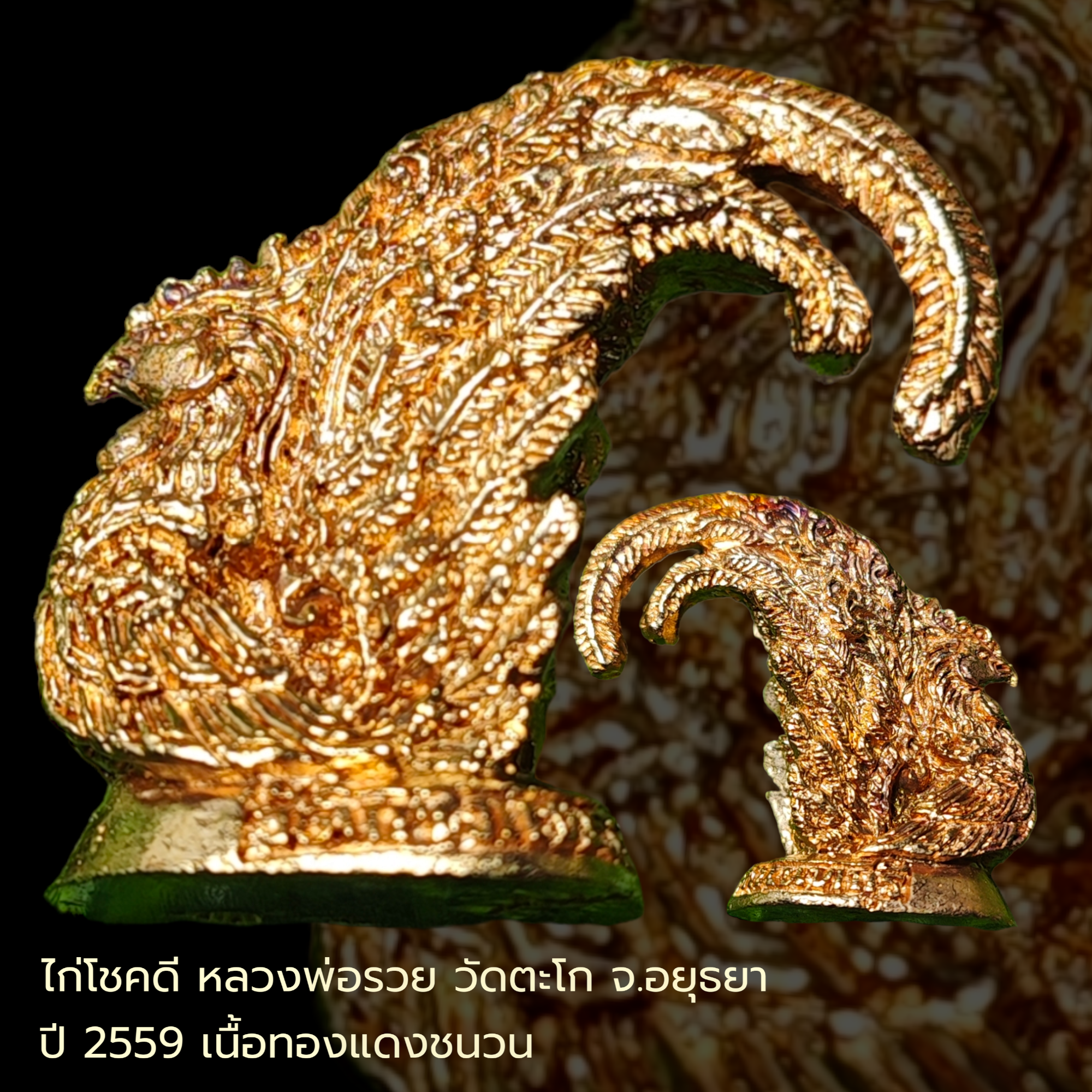 ไก่โชคดี หลวงพ่อรวย วัดตะโก จ.อยุธยา ปี2559 เนื้อทองแดงชนวน