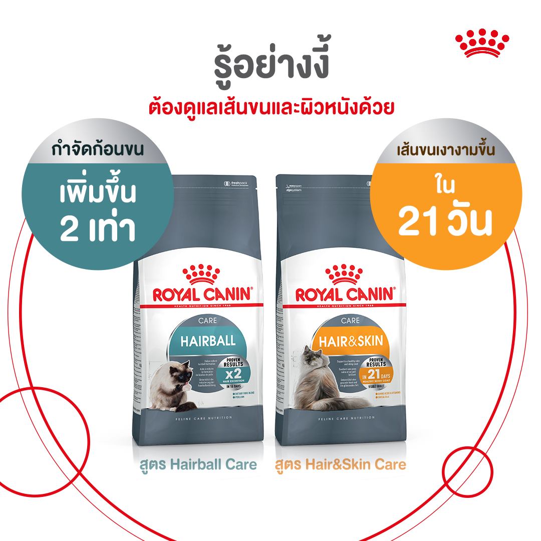 Royal Canin Hair and Skin Care 2 kg โรยัล คานิน อาหารสำหรับแมวโตที่ต้องการบำรุงขนและผิวหนัง อายุ 1 ปี ขึ้นไป 2 กก.