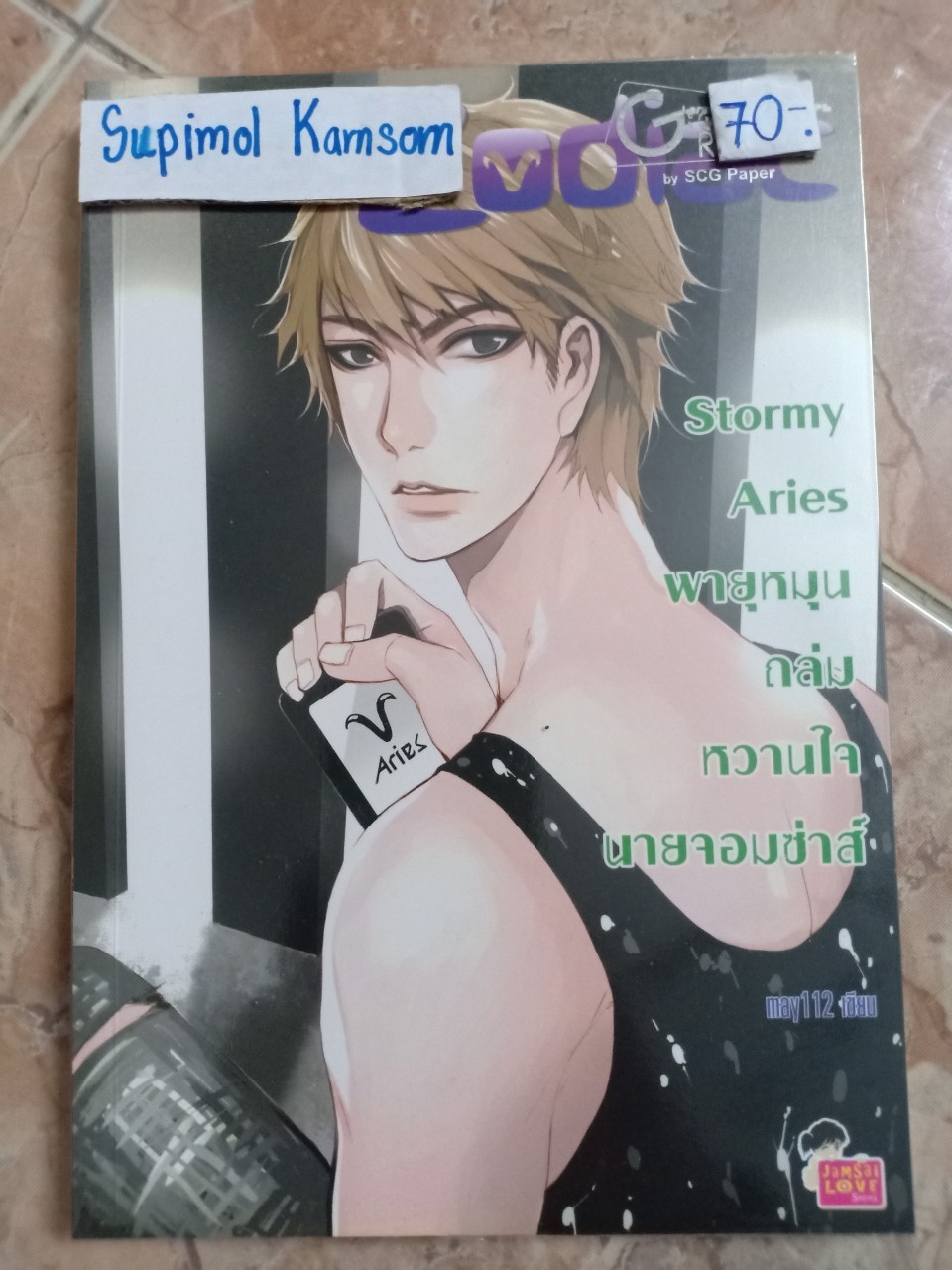 Stormy Aries พายุหมุนหวานใจนายจอมซ่าส์