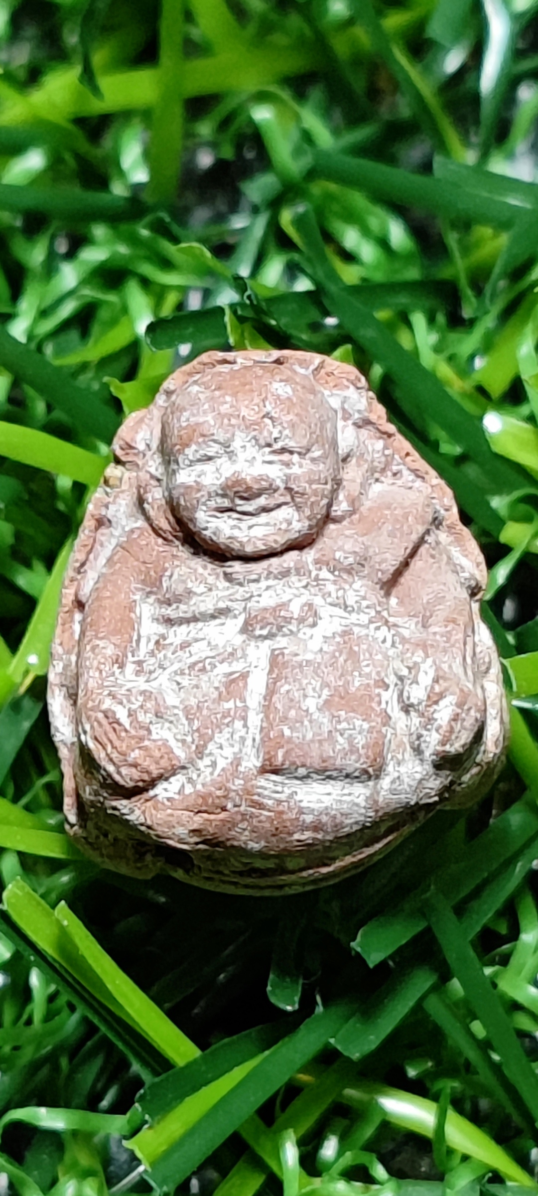 ลูกอมผงผสมชานหมาก(คำหมาก) ปี54 หลวงปู่หงษ์