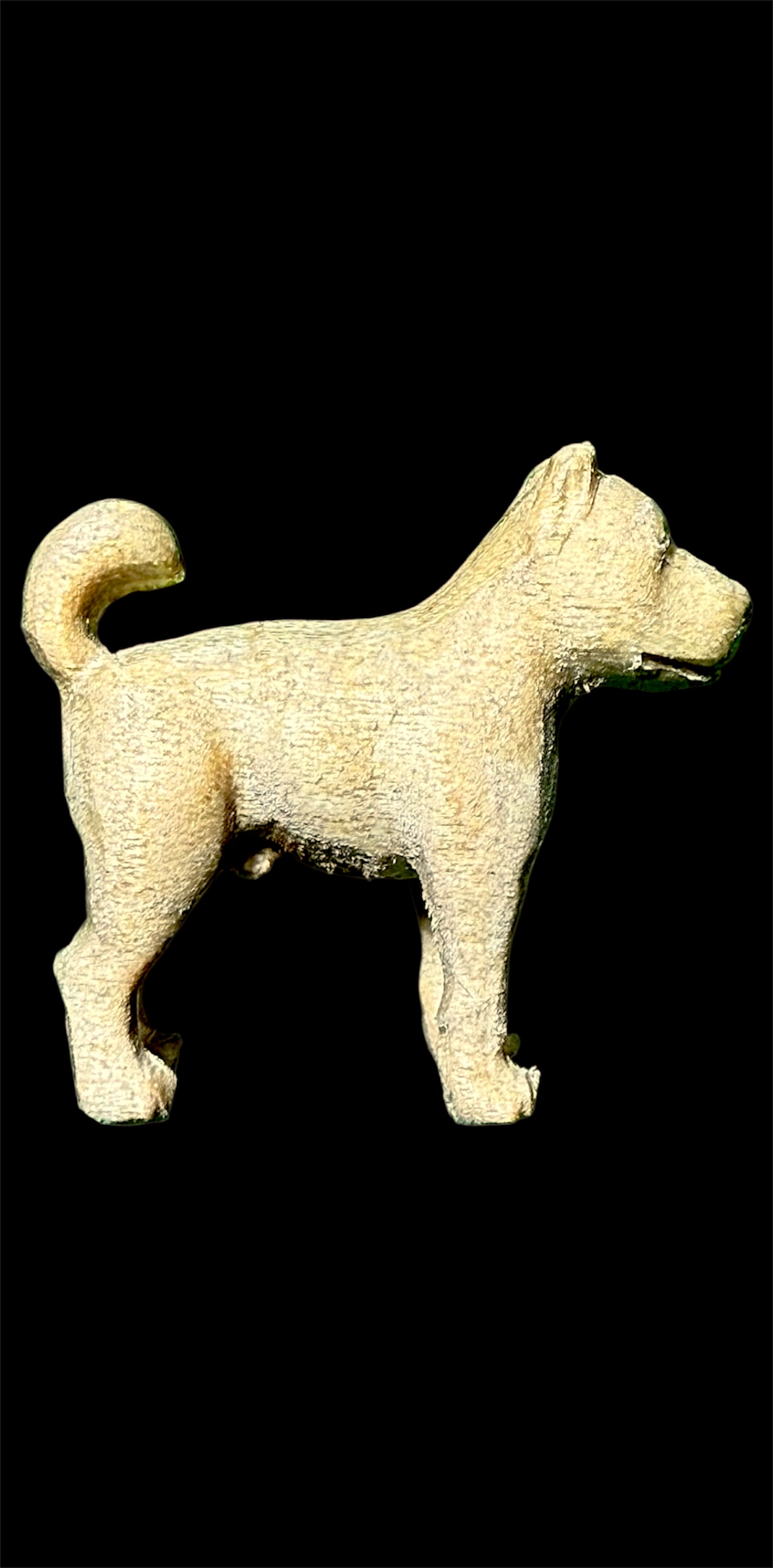 ไอ้ช้าง หมาคู่บารมี รุ่นแรก หลวงพ่อพัฒน์ วัดห้วยด้วน เนื้อ ไม้กำจัด ประสบการณ์โดนยิงล้มทั้งยืนไม่เป็นอะไรเลย