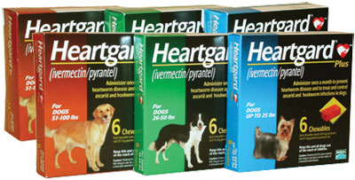 Heartgard Plus ยากินชนิดเคี้ยวสำหรับป้องกันโรคพยาธิหนอนหัวใจ รักษาและควบคุมพยาธิลำไส้ใ สุนัข น้ำหนัก 23.1-45 กก.(51-100 ปอนด์) Exp 11/2027