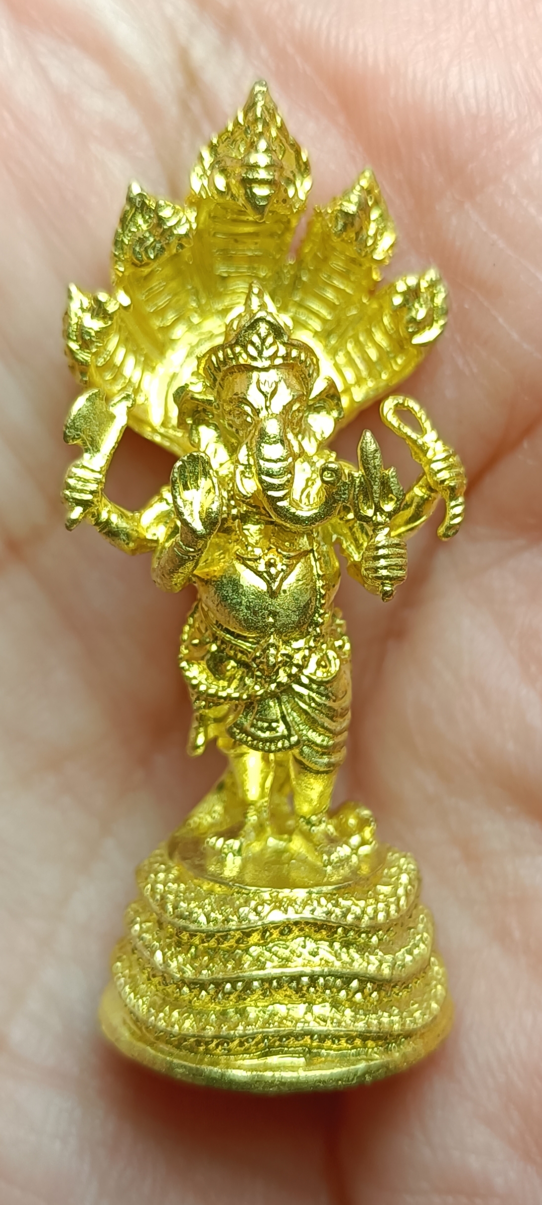 พระพิฆเนศวร์ปางนาคปรก หลวงพ่อรักษ์ อนาลโย วัดสุทธาวาส วิปัสสนา