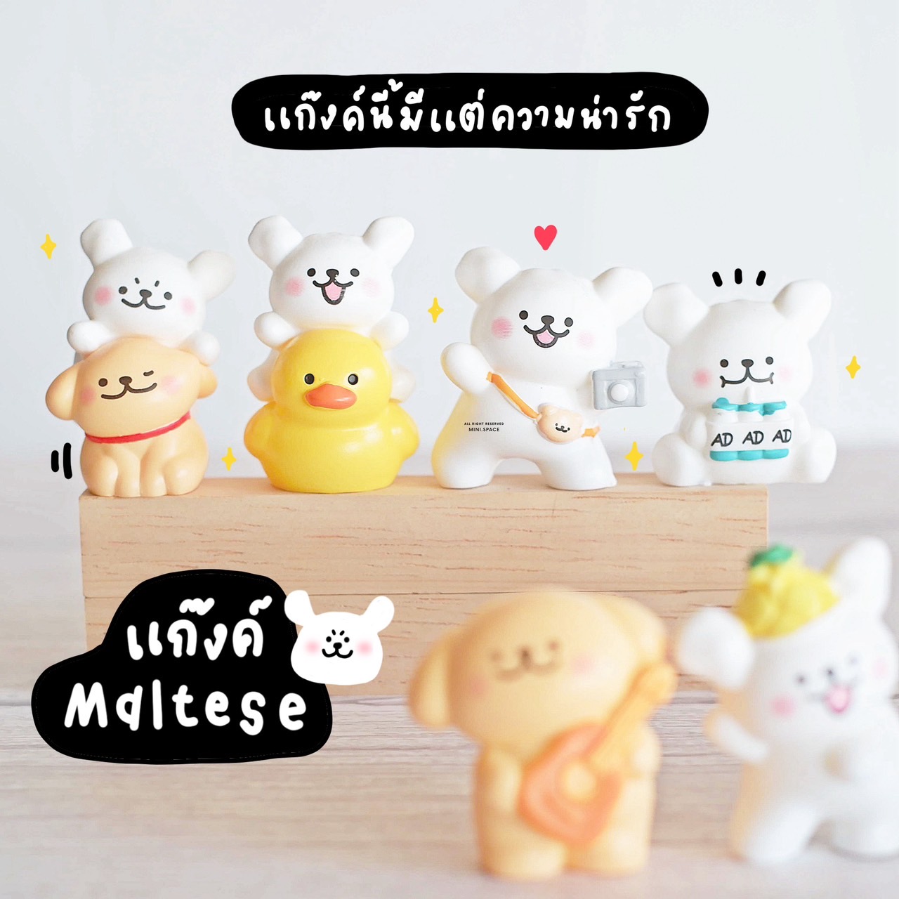 F-mini แก๊งค์หมามอลทีส Maltese ห่วงยางเป็ด (ชุด 8 แบบ) MS6165 โมเดลจิ๋ว ตุ๊กตาจิ๋ว ตุ๊กตาเรซิ่น แต่งบ้าน แต่งสวน จัดสวนถาด