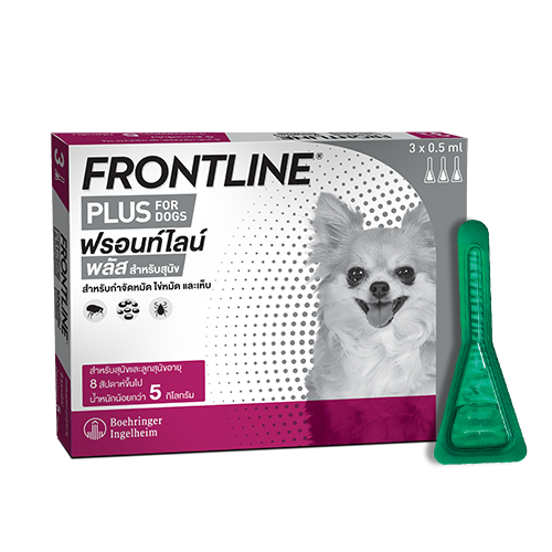 Frontline Plus for dogs and puppies ฟรอนท์ไลน์ พลัส สำหรับสุนัขและลูกสุนัข อายุ 8 สัปดาห์ขึ้นไปและน้ำหนักน้อยกว่่า 5 กก. จำนวน 1 หลอด