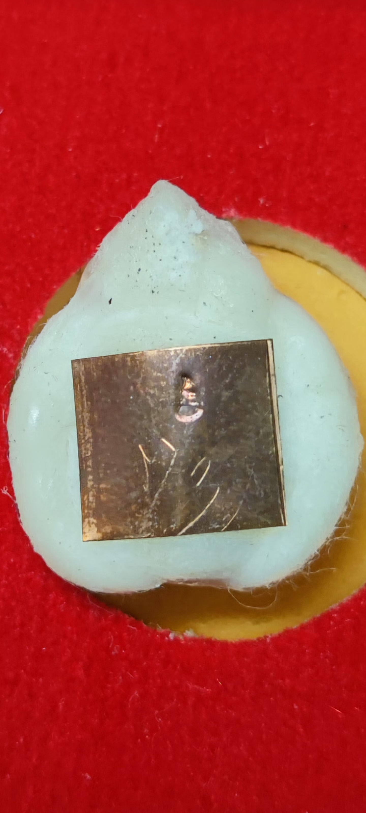 พญาเต่าเรือนมหาโภคทรัพย์ เต่าสำลีเกษา ๓ ครูบา พระอาจารย์นัทธพงศ์ ชินวโร สำนักเรือนไตรเนตร