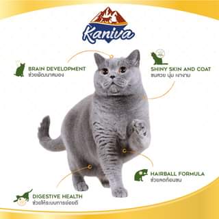 Kaniva Indoor 2.8 kg คานิว่า อาหารเม็ดสำหรับลูกแมวและแมวโต สูตรสำหรับแมวเลี้ยงในบ้าน 2.8 กก.