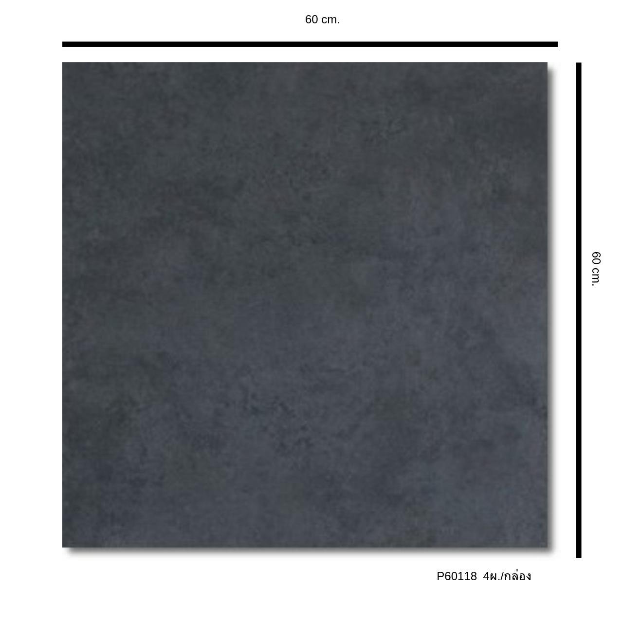 P60118 ANCIENT STONE BLACK (ขนาด60x60) (4แผ่น/กล่อง) (1.44 ตร.ม. / กล่อง)