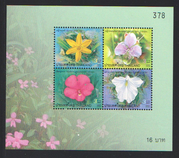 ชีทปีใหม่ 2550 (ชุด19)