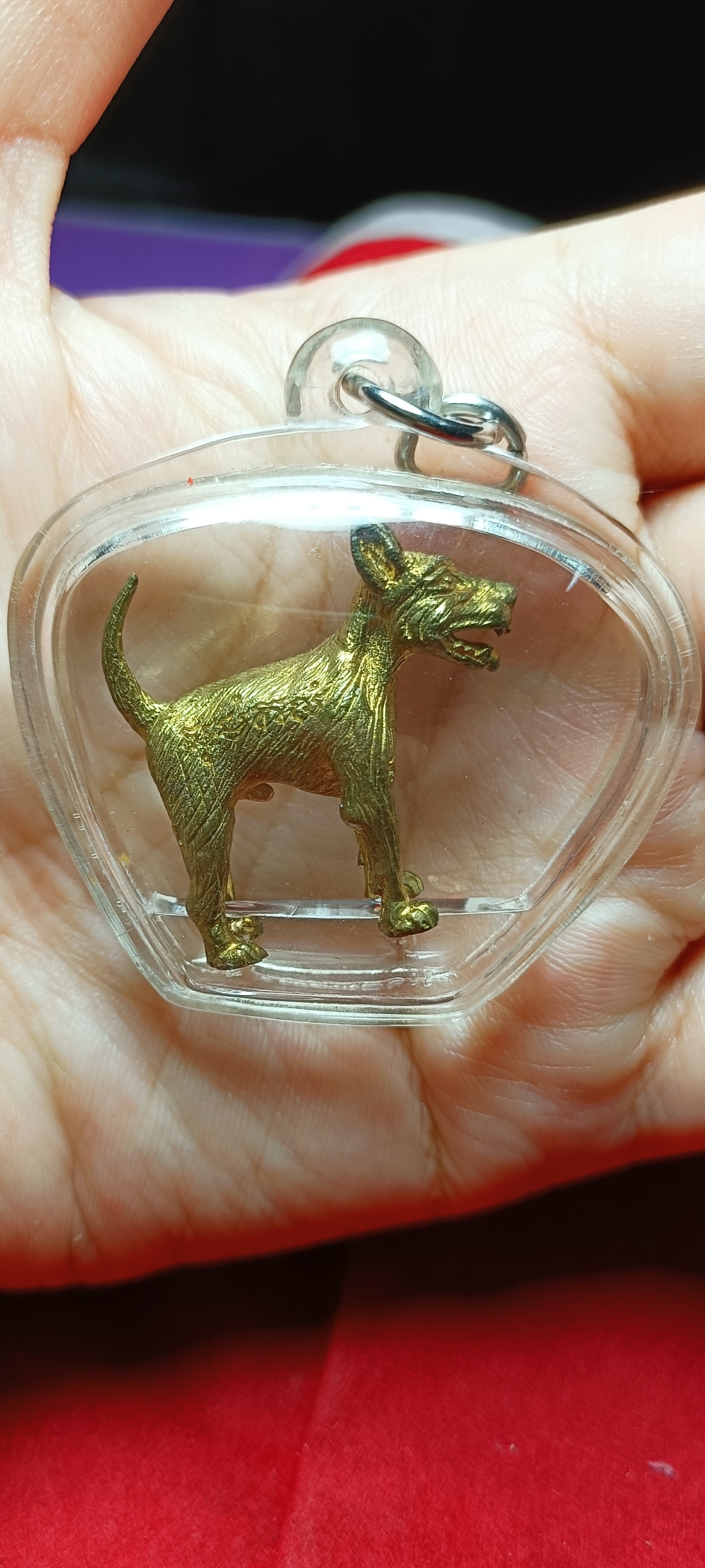 สุนัขเฝ้าทรัพย์เฝ้าเจ้าของ พระครูปืน วัดลาดชะโด " ชื่อเจ้าเขียว" เนื้อทองเหลือง รุ่นแรก