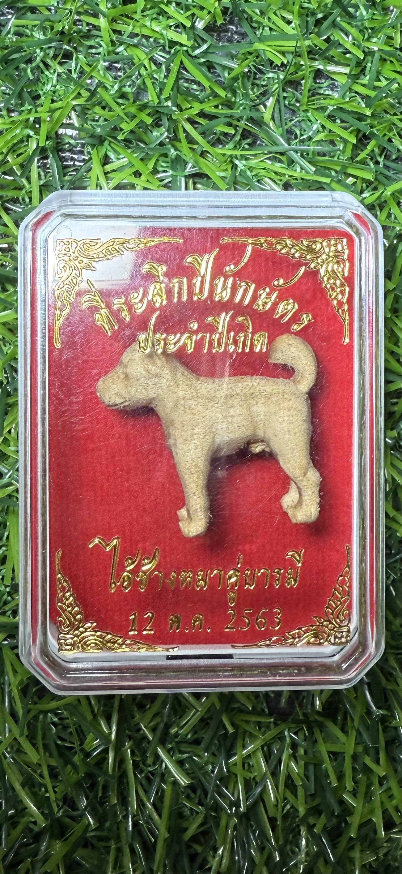 ไอ้ช้าง หมาคู่บารมี รุ่นแรก หลวงพ่อพัฒน์ วัดห้วยด้วน เนื้อ ไม้กำจัด ประสบการณ์โดนยิงล้มทั้งยืนไม่เป็นอะไรเลย