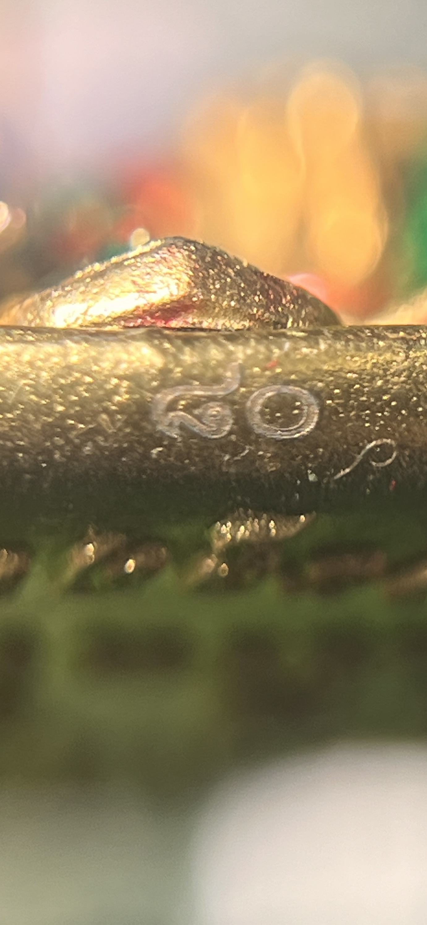 พระพิฆเนศ ที่ระลึกอายุวัฒนมงคล ๘๐ ปี รุ่น สมปรารถนา หลวงปู่จื่อ วัดเขาตาเงาะอุทุมพร จ. ชัยภูมิ ปี 2567