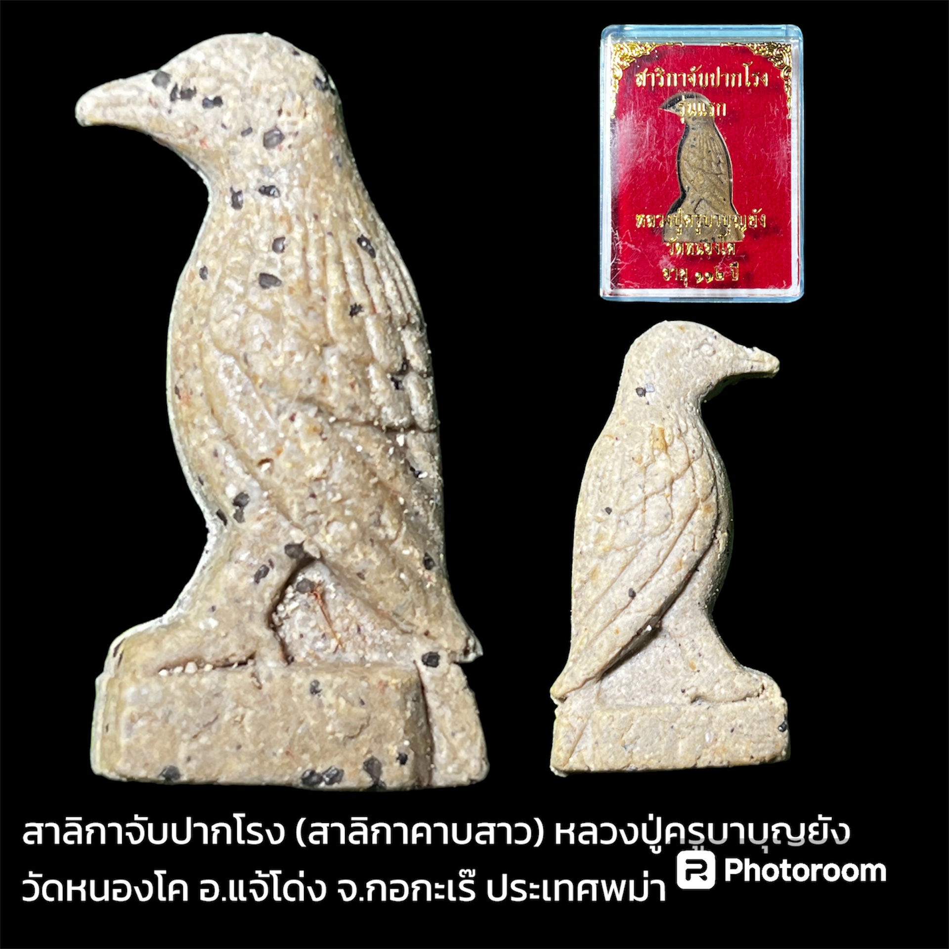 สาริกาจับปากโรง (สาริกาคาบสาว) หลวงปู่ครูบาบุญยัง วัดหนองโค อ.แจ้โด่ง จ.กอกะเร๊ ประเทศพม่า