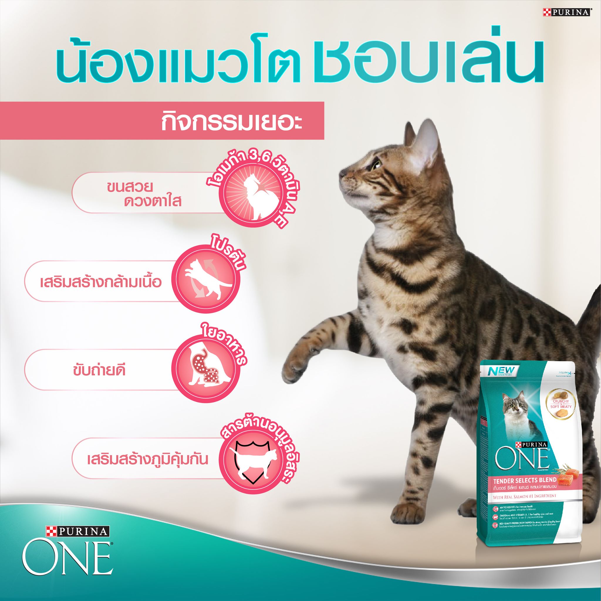 Purina One Tender Select Blend with Salmon 3 kg เพียวริน่า วัน อาหารเม็ดสำหรับแมวโต สูตรปลาแซลมอน ขนาด 3 กก.