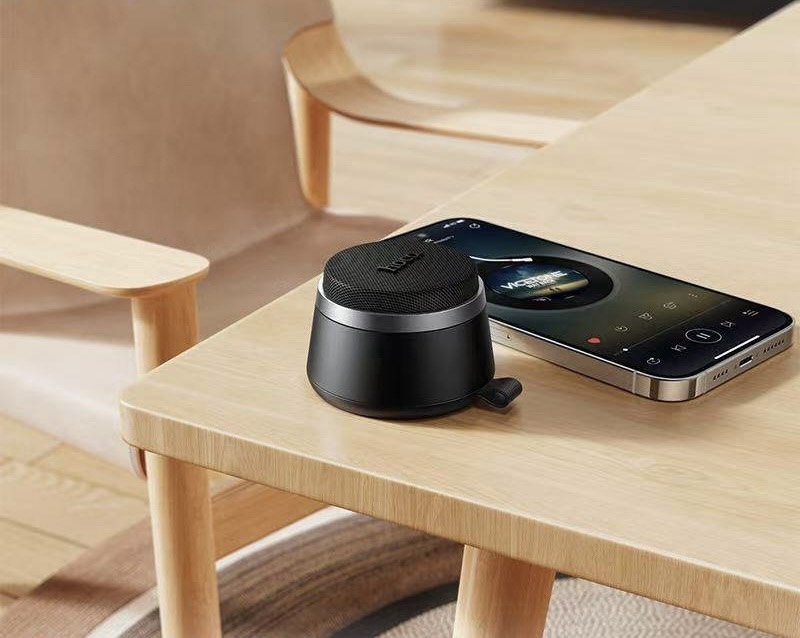 HC43 SURPASS BT SPEAKER