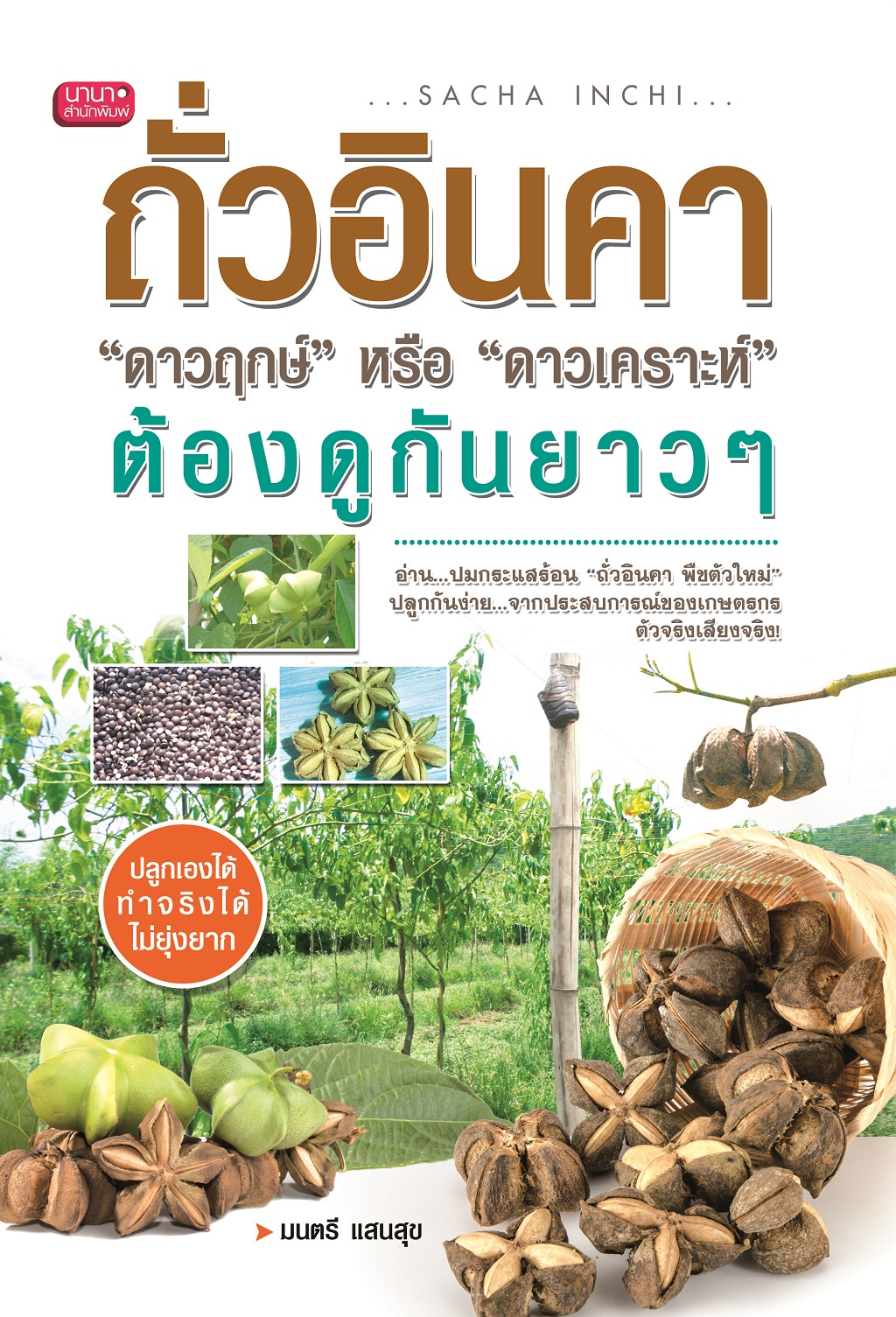 หนังสือถั่วอินคา "ดาวฤกษ์" หรือ "ดาวเคราะห์" ต้องดูกันยาวๆ