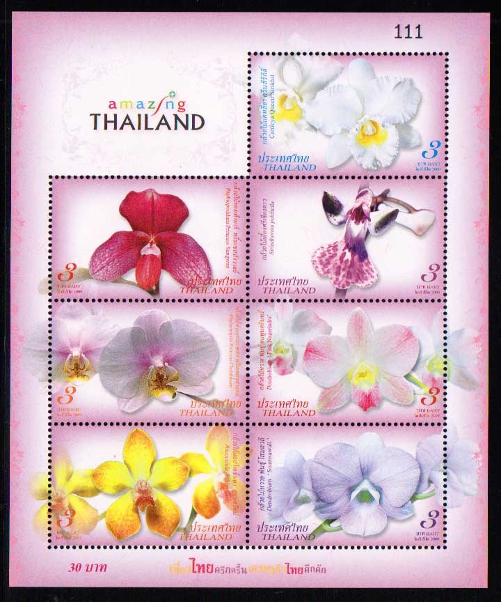ชีทกล้วยไม้ 2552