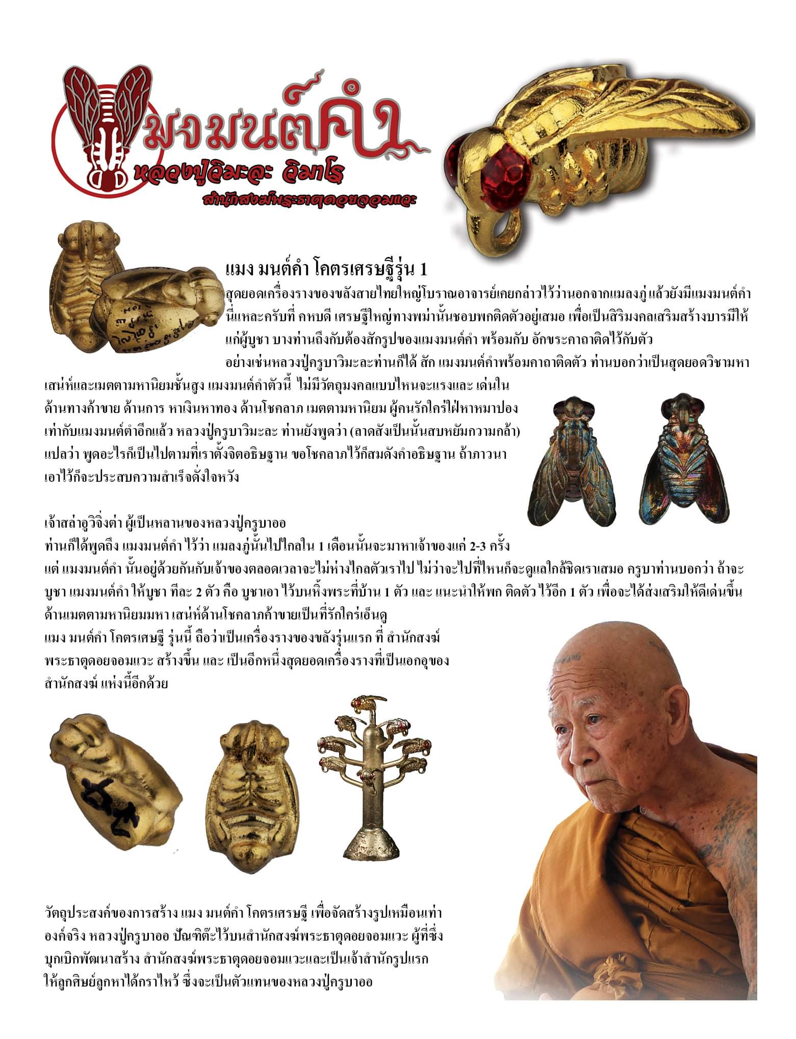 แมงมนต์คำ โคตรเศรษฐี รุ่ง ๑ เนื้อทองแดงผิวรุ้ง หลวงปู่วิมะละ สำนักสงฆ์พระธาตุดอยจอมแวะ จ.เชียงดาว