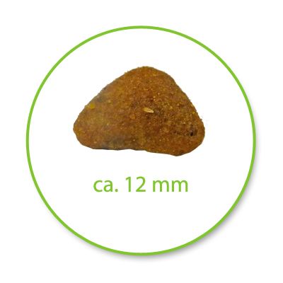 Royal canin hairball care 400 g อาหารเม็ดสำหรับแมวโต ป้องกันการเกิดก้อนขน ขนาด 400 ก.