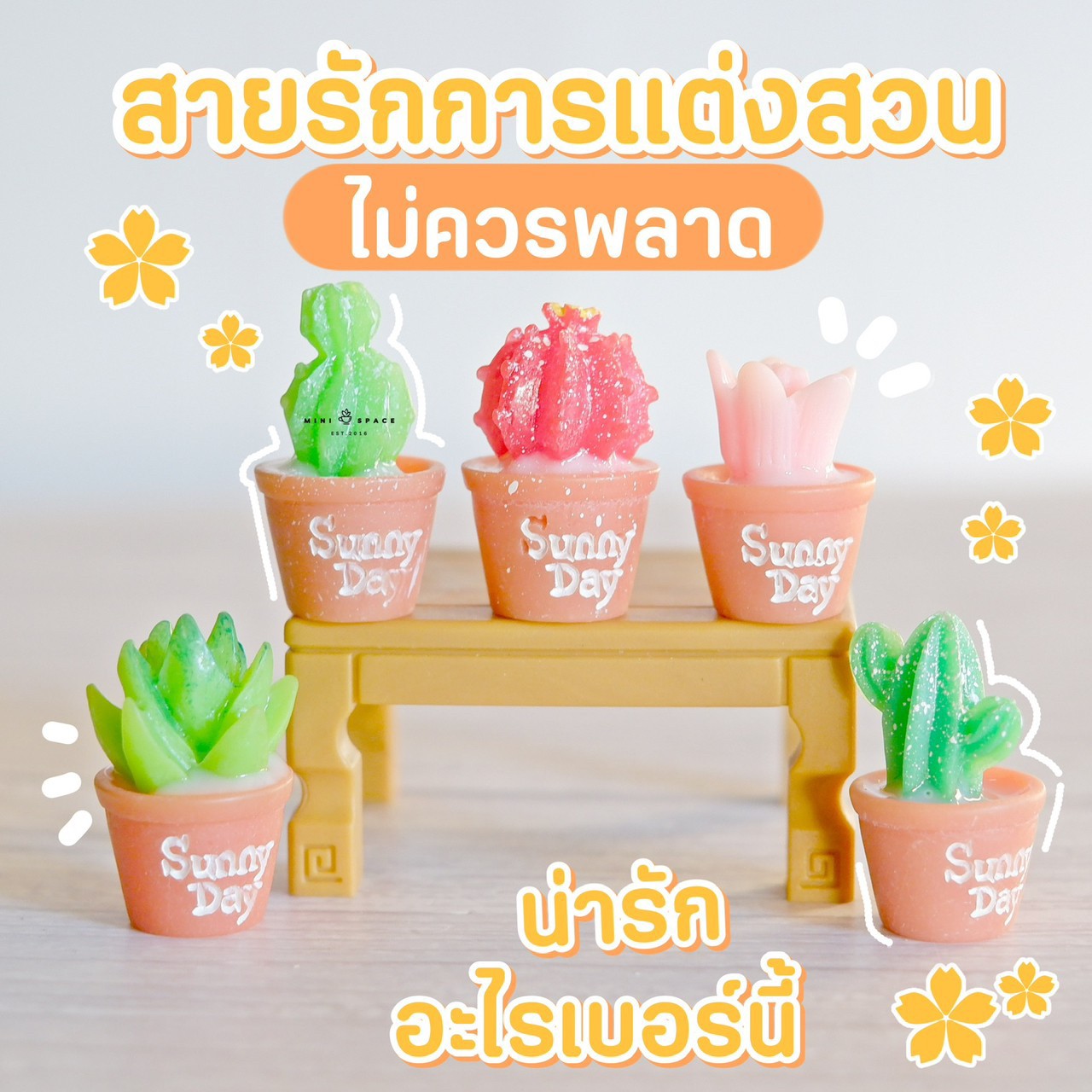 MS5085 กระบองเพชรจิ๋ว 5 แบบ ตุ๊กตาจิ๋ว โมเดลจิ๋ว ตุ๊กตาเรซิ่น สำหรับแต่งสวน แต่งบ้าน งานDIY
