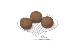 Royal canin Medium Puppy 1 kg อาหารเม็ด สำหรับลูกสุนัข พันธุ์กลาง อายุ 2 - 12 เดือน ขนาด 1 กก.