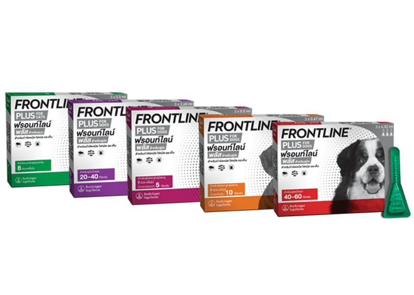 Frontline Plus for dogs and puppies 8 weeks or older and up to 10 kg ฟรอนท์ไลน์ พลัส สำหรับสุนัขและลูกสุนัข อายุ 8 สัปดาห์ขึ้นไป ที่มีน้ำหนักไม่เกิน 10 กก. 1 หลอด
