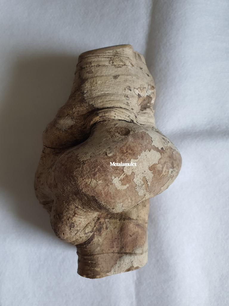 ไม้ชองระอา