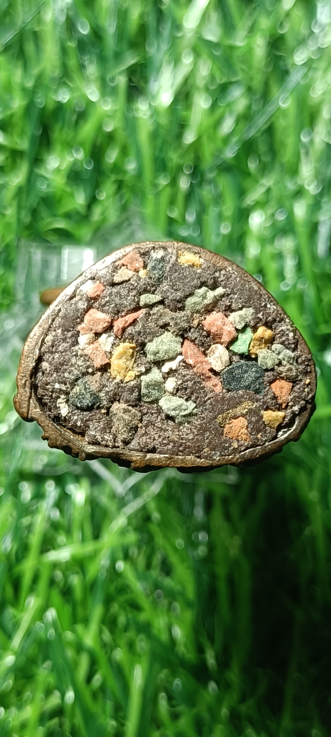 พญาเขาคำ หลวงปู่แวนกาย มีกินมีใช้ ไม่มีอด