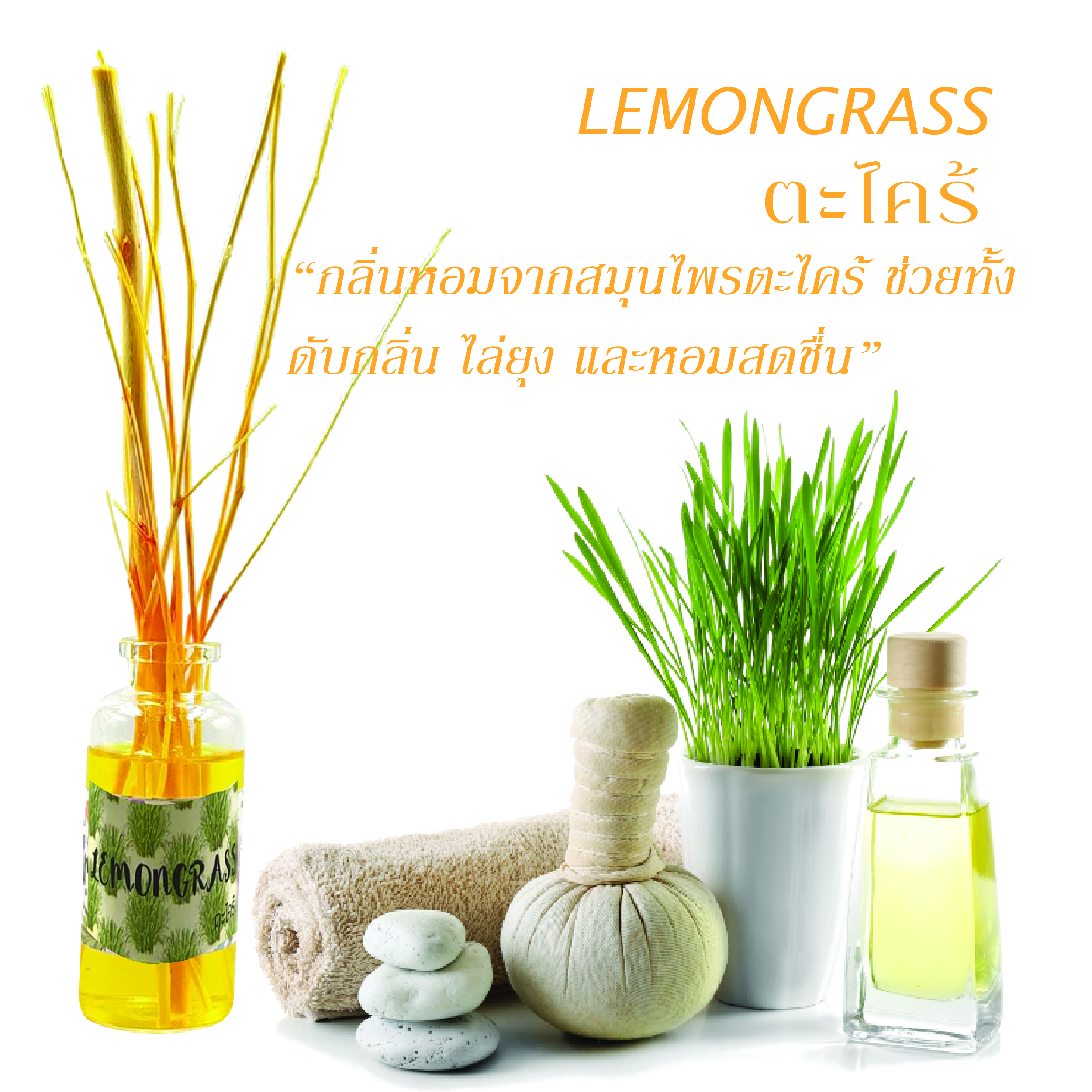 กลิ่นตะไคร้ Lemongrass