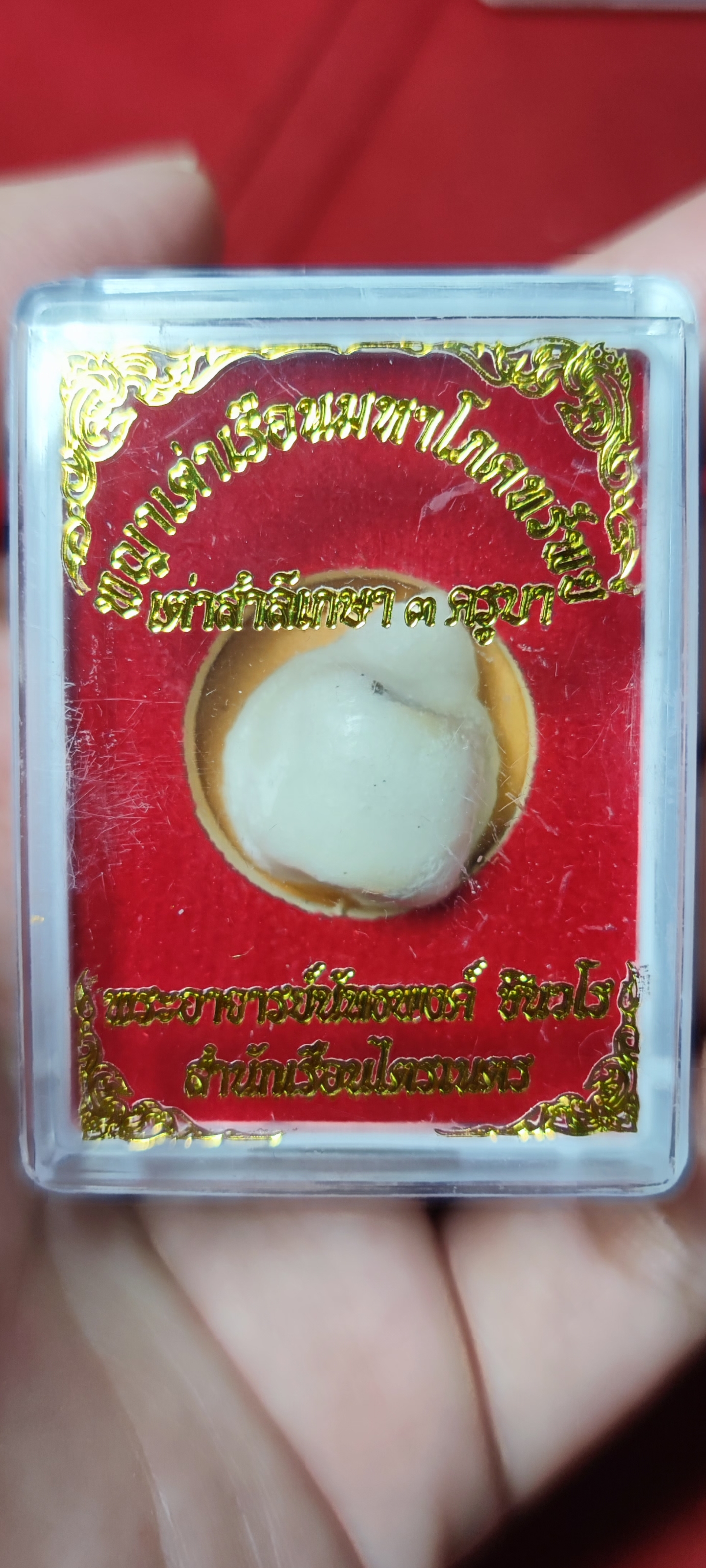 พญาเต่าเรือนมหาโภคทรัพย์ เต่าสำลีเกษา ๓ ครูบา พระอาจารย์นัทธพงศ์ ชินวโร สำนักเรือนไตรเนตร