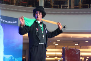 ชาลีแชปลิ้นโชว์ Chales Show