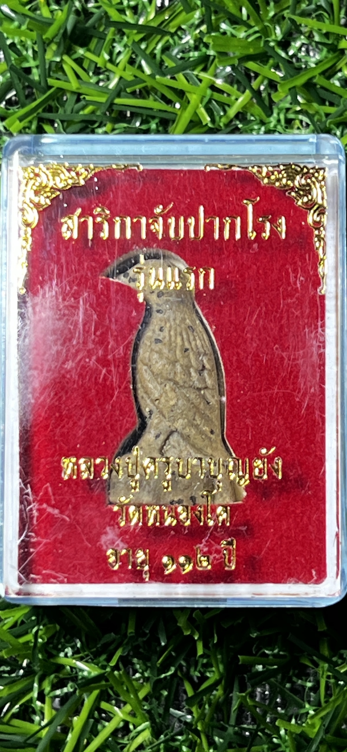 สาริกาจับปากโรง (สาริกาคาบสาว) หลวงปู่ครูบาบุญยัง วัดหนองโค อ.แจ้โด่ง จ.กอกะเร๊ ประเทศพม่า