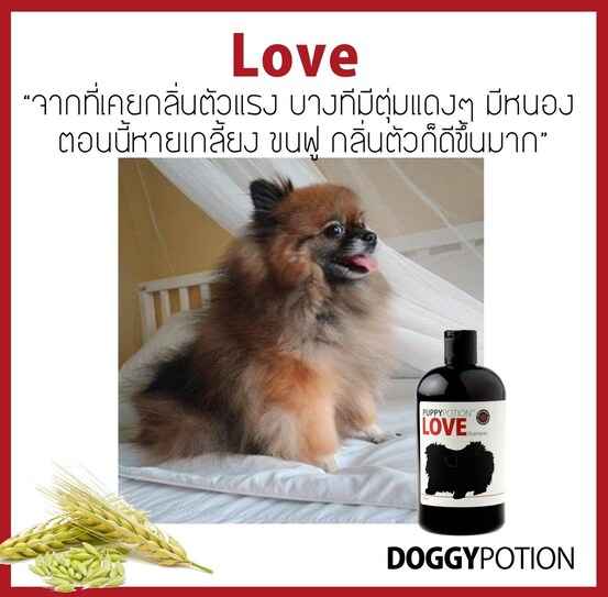 Puppy Potion Love Shampoo 500 ml แชมพูสารสกัดธรรมชาติ 100% กลิ่น Love 500 มล.