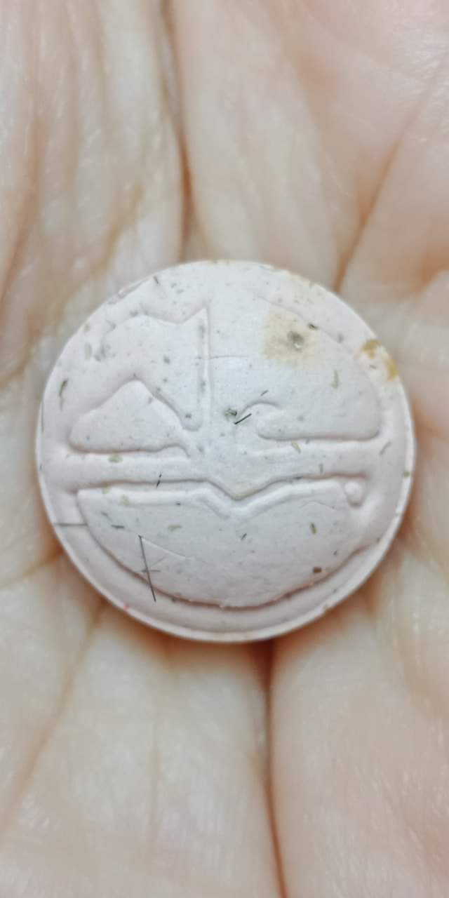 ว่านชานหมากเกศา ชมพูดูดทรัพย์ หลวงพ่อเณร วัดทุ่งเศรษฐี ม.ราม2 เด่นด้านโชคลาภและเมตตามหานิยม)