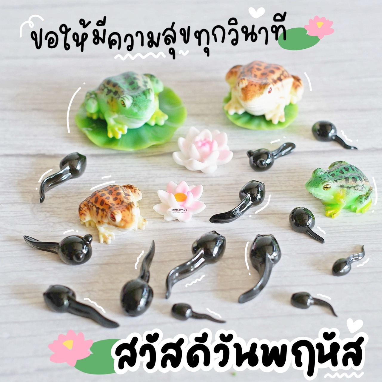 โมเดลเจ้ากบ และลูกอ๊อด MS5918 ตุ๊กตาจิ๋ว โมเดลจิ๋ว เรซิ่นตกแต่ง แต่งสวน งานDIY