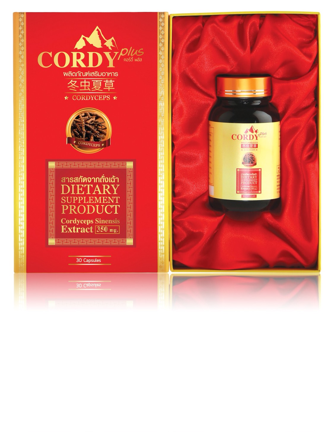 CordyPlus อ.วิโรจน์ Promotion