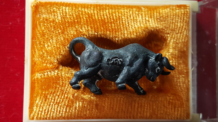 วัวธนูหลวงปู่ครูบาคำแสน