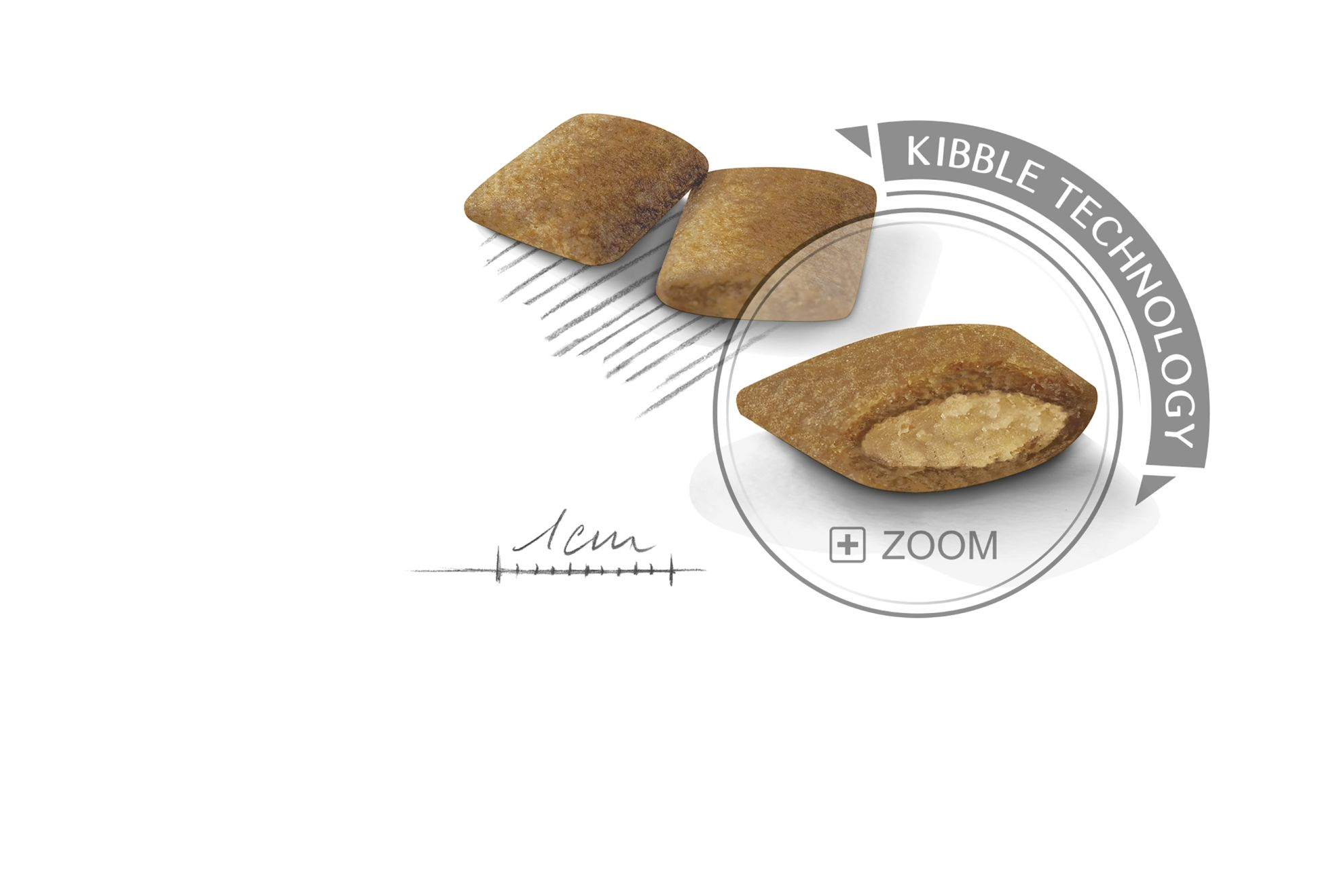 Royal canin Mini exigent 1 kg โรยัล คานิน อาหารเม็ด สำหรับสุนัขโตพันธุ์เล็ก กินยาก ขนาด 1 กก.