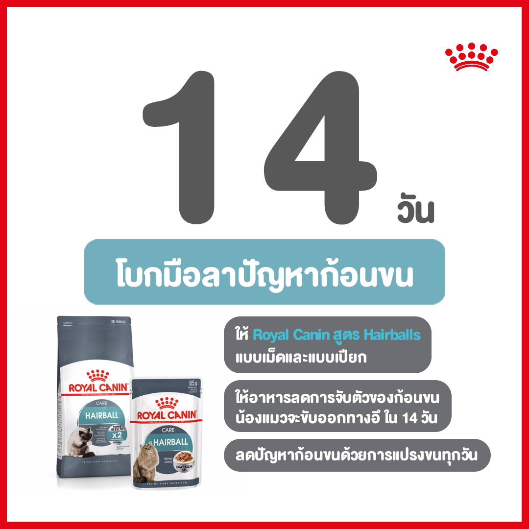 Royal canin hairball care 400 g อาหารเม็ดสำหรับแมวโต ป้องกันการเกิดก้อนขน ขนาด 400 ก.
