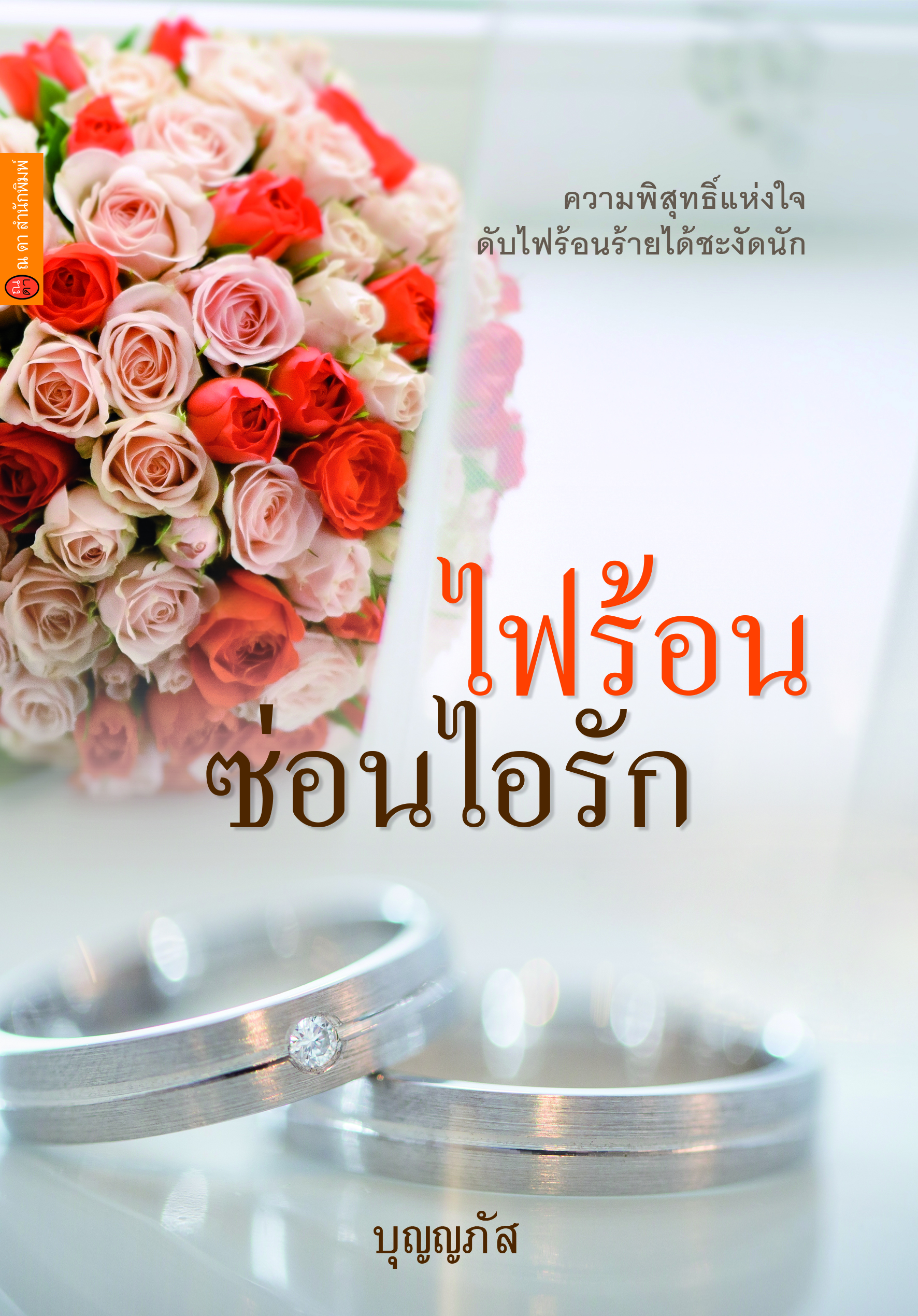 ไฟร้อนซ่อนไอรัก