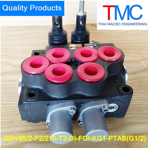 คอนโทรน2แกน4หุนมีcarry over(45-55L)(4,500Psi/310Bar)Quality Products GDV45/2-P2/210-T2-DI-FGI-KQ1-PTAB(G1/2)
