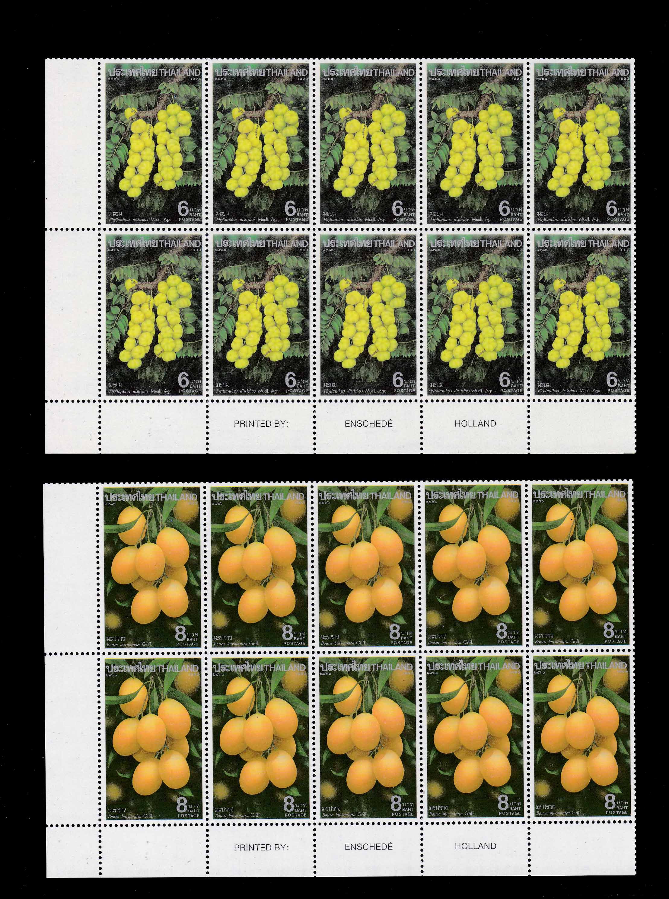 บล็อค 10 แสตมป์ผลไม้ไทย (ชุด4) มุมโรงพิมพ์