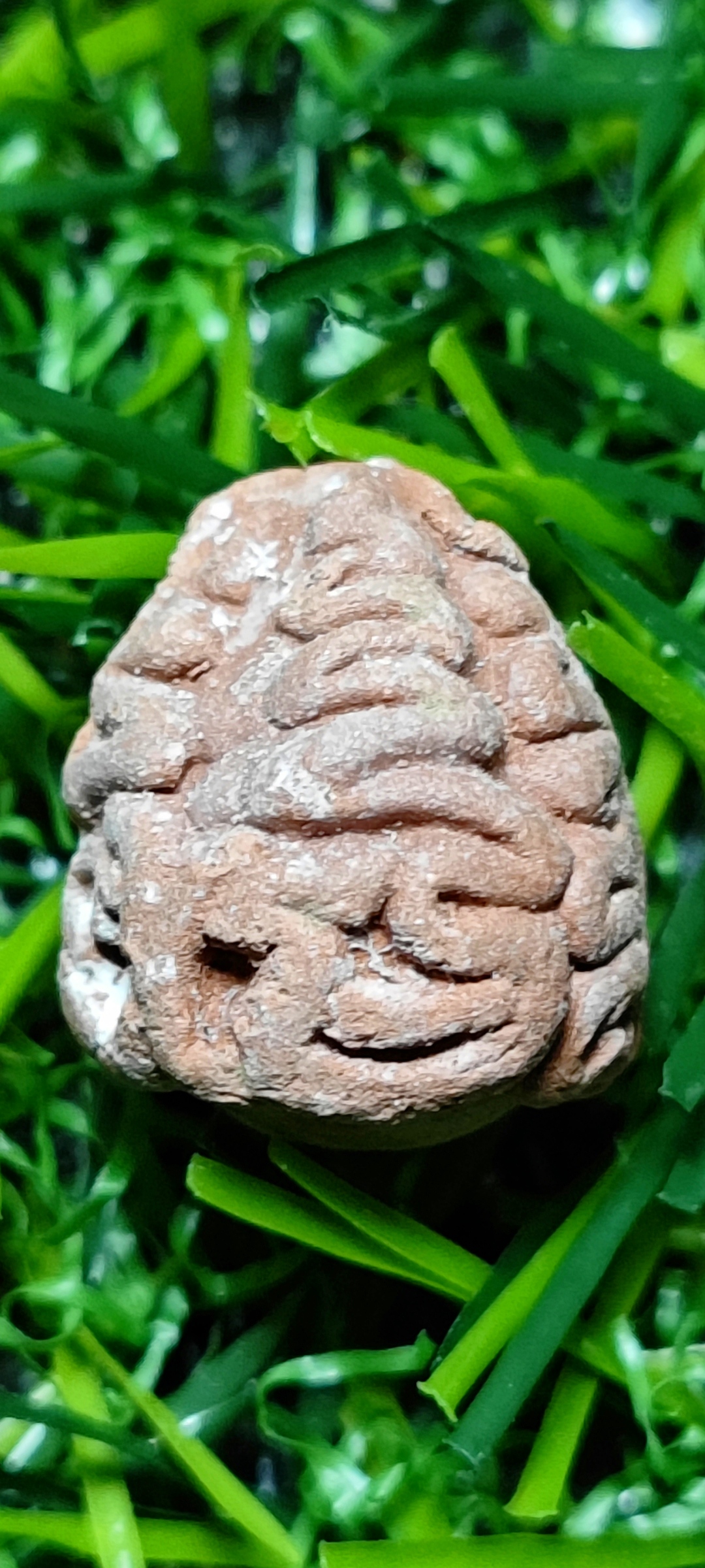 ลูกอมผงผสมชานหมาก(คำหมาก) ปี54 หลวงปู่หงษ์