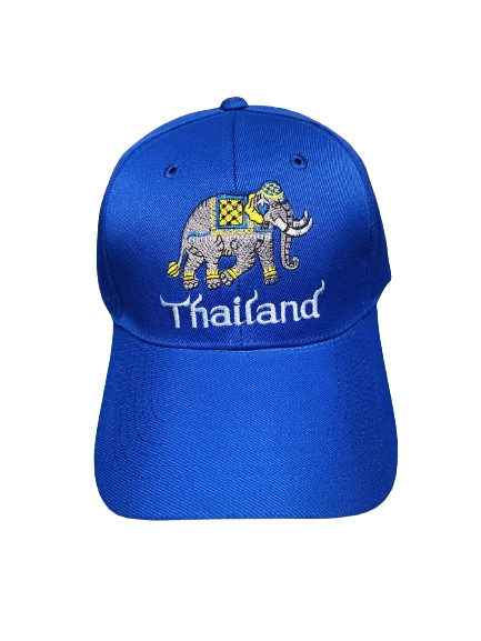 หมวกแฟชั่น หมวกแก๊ป หมวกพร้อมลายปัก (ได้ของตามรูป)