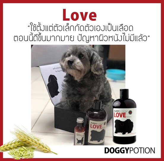 Puppy Potion Love Shampoo 500 ml แชมพูสารสกัดธรรมชาติ 100% กลิ่น Love 500 มล.