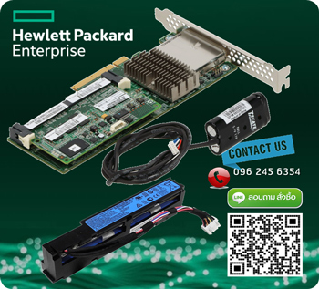 462864-B21 HP 462919-001 HP Smart Array P410 512 MB with BBWC Controller