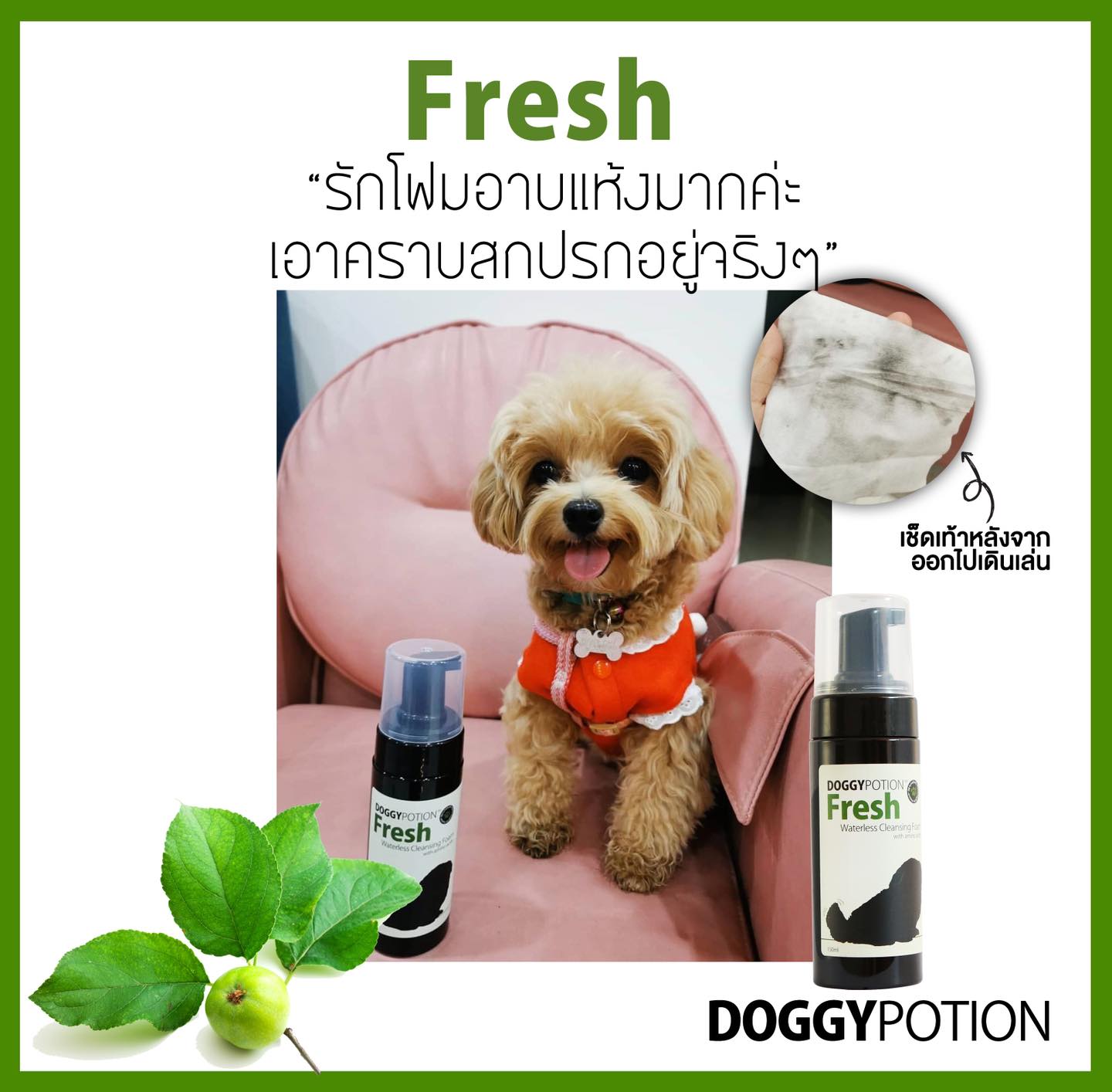 Doggy Potion - Fresh Waterless Cleansing Foam 150 ml โฟมล้างหน้าและอาบแห้งสูตรเฟรช ขนาด 150 มล.